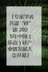 专家学者共谋“硅”途 2025年中国（乐山）硅产业链发展大会开幕