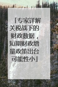 专家详解关税战下的财政数据，短期财政增量政策出台可能性小