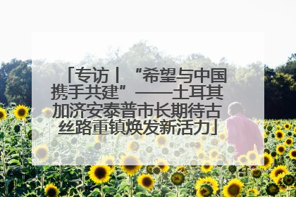 专访丨“希望与中国携手共建”——土耳其加济安泰普市长期待古丝路重镇焕发新活力
