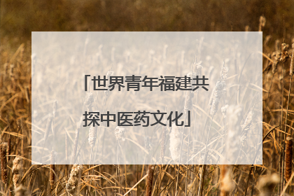 世界青年福建共探中医药文化