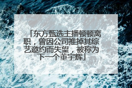 东方甄选主播顿顿离职，曾因公司推掉其综艺邀约而失望，被称为下一个董宇辉