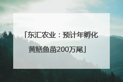 东汇农业：预计年孵化黄鳝鱼苗200万尾