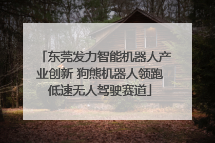 东莞发力智能机器人产业创新 狗熊机器人领跑低速无人驾驶赛道