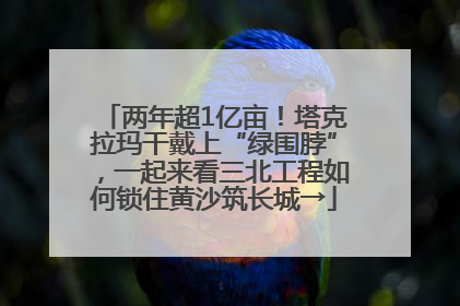 两年超1亿亩！塔克拉玛干戴上“绿围脖”，一起来看三北工程如何锁住黄沙筑长城→