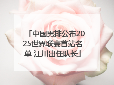 中国男排公布2025世界联赛首站名单 江川出任队长