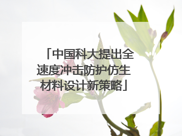 中国科大提出全速度冲击防护仿生材料设计新策略