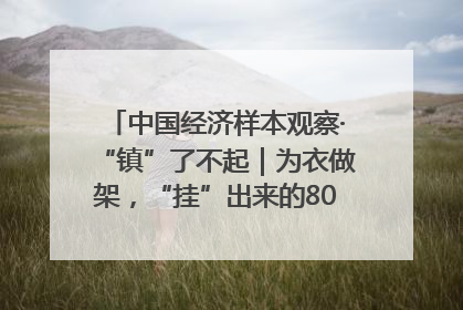 中国经济样本观察·“镇”了不起｜为衣做架，“挂”出来的80亿元“衣架产业”