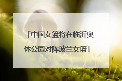 中国女篮将在临沂奥体公园对阵波兰女篮