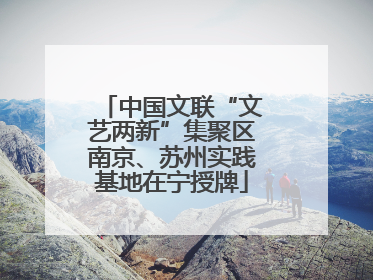 中国文联“文艺两新”集聚区南京、苏州实践基地在宁授牌