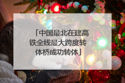 中国最北在建高铁全线最大跨度转体桥成功转体