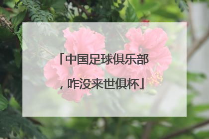 中国足球俱乐部，咋没来世俱杯