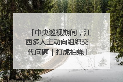 中央巡视期间，江西多人主动向组织交代问题｜打虎拍蝇