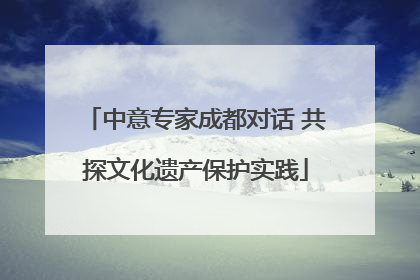 中意专家成都对话 共探文化遗产保护实践