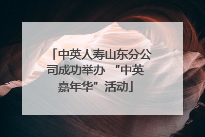 中英人寿山东分公司成功举办 “中英嘉年华”活动