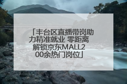 丰台区直播带岗助力精准就业 零距离解锁京东MALL200余热门岗位