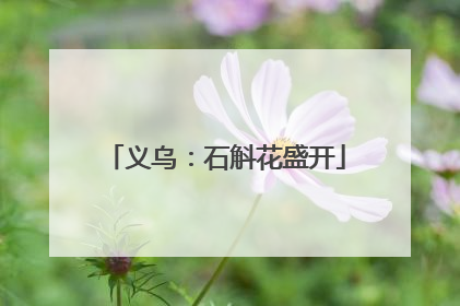 义乌：石斛花盛开