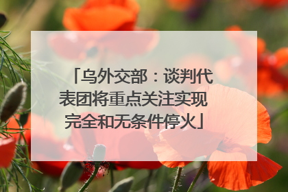 乌外交部：谈判代表团将重点关注实现完全和无条件停火