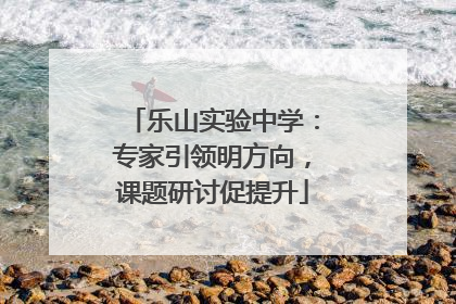乐山实验中学：专家引领明方向，课题研讨促提升