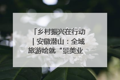 乡村振兴在行动｜安徽潜山：全域旅游绘就“景美业兴民富”新画卷
