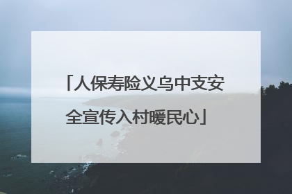 人保寿险义乌中支安全宣传入村暖民心