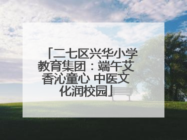 二七区兴华小学教育集团：端午艾香沁童心 中医文化润校园