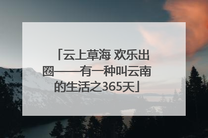 云上草海 欢乐出圈——有一种叫云南的生活之365天