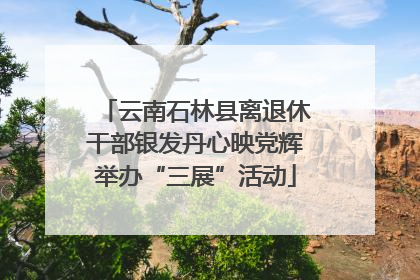 云南石林县离退休干部银发丹心映党辉举办“三展”活动