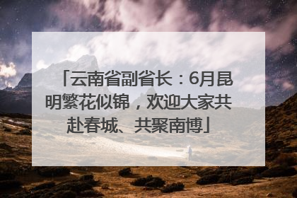 云南省副省长：6月昆明繁花似锦，欢迎大家共赴春城、共聚南博