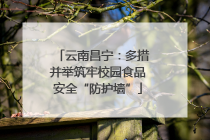 云南昌宁：多措并举筑牢校园食品安全“防护墙”