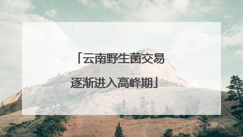 云南野生菌交易逐渐进入高峰期
