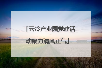 云冷产业园党建活动聚力清风正气