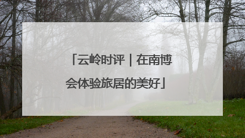 云岭时评｜在南博会体验旅居的美好
