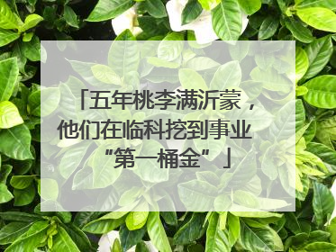 五年桃李满沂蒙，他们在临科挖到事业“第一桶金”