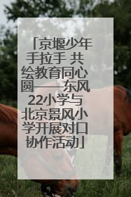 京堰少年手拉手 共绘教育同心圆——东风22小学与北京景风小学开展对口协作活动
