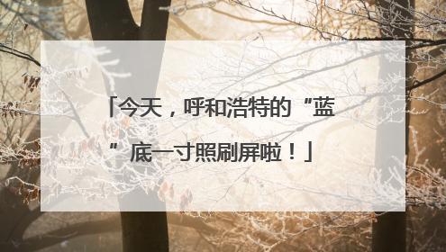 今天，呼和浩特的“蓝”底一寸照刷屏啦！