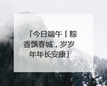今日端午丨粽香飘春城，岁岁年年长安康