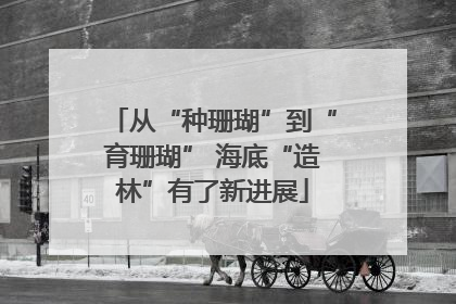 从“种珊瑚”到“育珊瑚” 海底“造林”有了新进展
