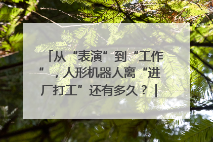 从“表演”到“工作”，人形机器人离“进厂打工”还有多久？｜机器人商业新纪元