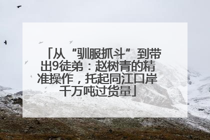 从“驯服抓斗”到带出9徒弟：赵树青的精准操作，托起同江口岸千万吨过货量