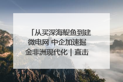 从买深海鳀鱼到建微电网 中企加速掘金非洲现代化｜直击中非经贸博览会