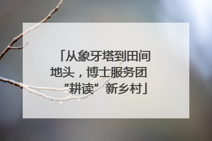 从象牙塔到田间地头，博士服务团“耕读”新乡村