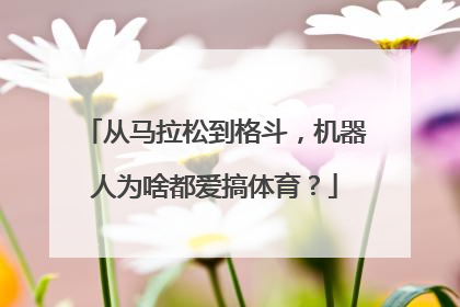 从马拉松到格斗，机器人为啥都爱搞体育？