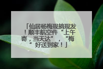 仙居杨梅现摘现发！顺丰航空件“上午寄，当天达”，“梅”好送到家！