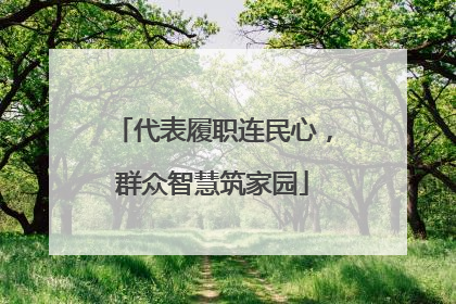 代表履职连民心，群众智慧筑家园