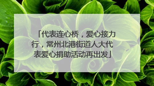 代表连心桥，爱心接力行，常州北港街道人大代表爱心捐助活动再出发