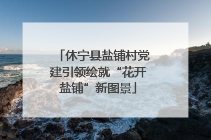 休宁县盐铺村党建引领绘就“花开盐铺”新图景
