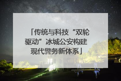 传统与科技“双轮驱动”冰城公安构建现代警务新体系