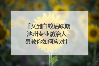 又到白蚁活跃期 池州专业防治人员教你如何应对