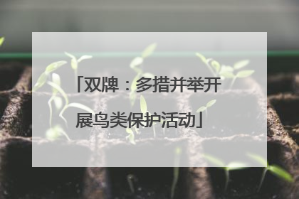 双牌：多措并举开展鸟类保护活动