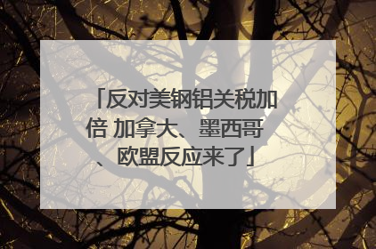 反对美钢铝关税加倍 加拿大、墨西哥、欧盟反应来了